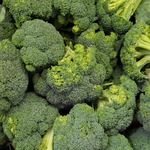 Broccoli